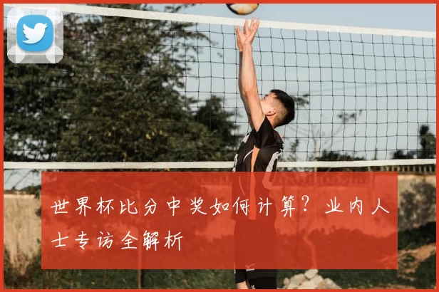 世界杯比分中奖如何计算?业内人士专访全解析