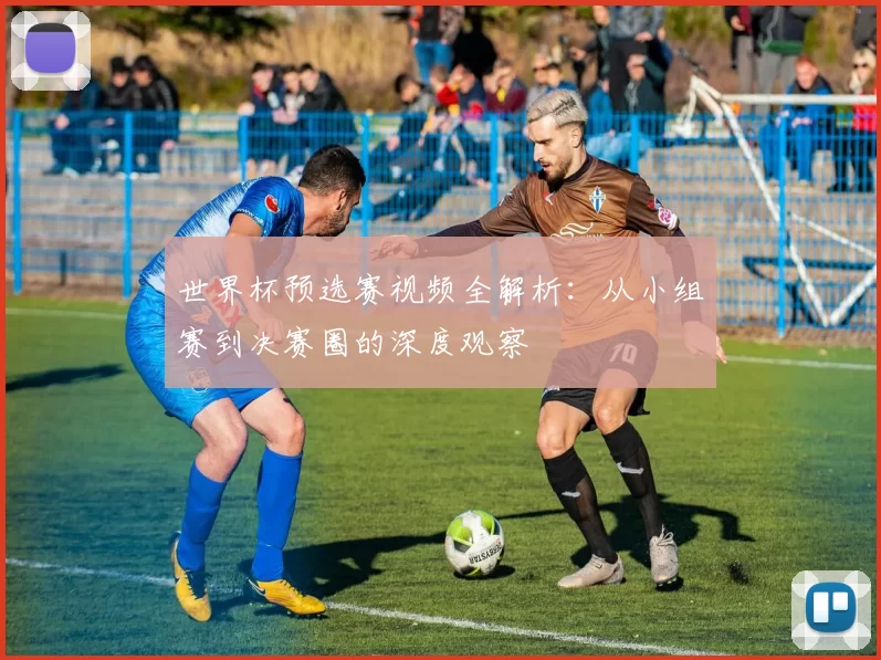 世界杯预选赛视频全解析:从小组赛到决赛圈的深度观察
