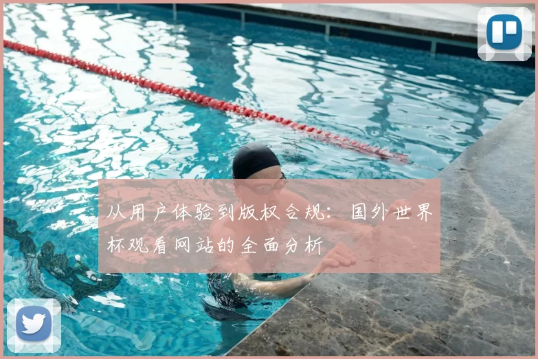 从用户体验到版权合规：国外世界杯观看网站的全面分析