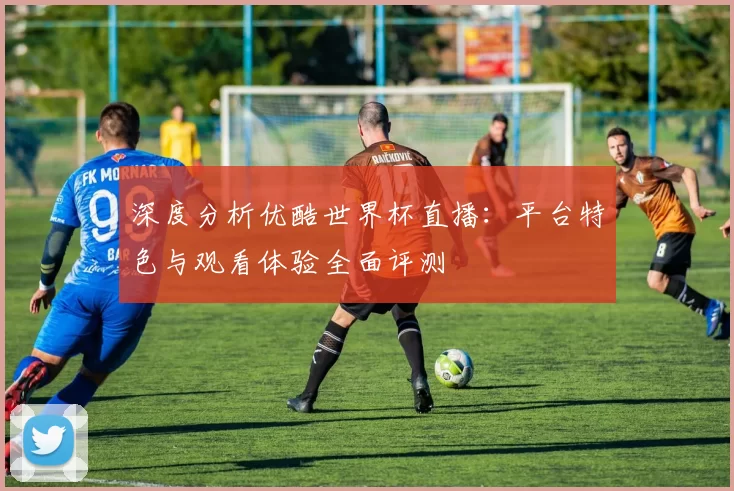 深度分析优酷世界杯直播：平台特色与观看体验全面评测