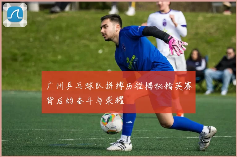 广州乒乓球队拼搏历程揭秘精英赛背后的奋斗与荣耀