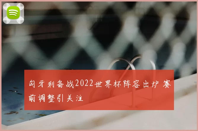 匈牙利备战2022世界杯阵容出炉 赛前调整引关注