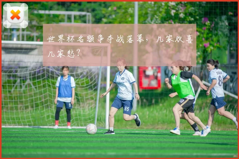 世界杯名额争夺战落幕,几家欢喜几家愁?
