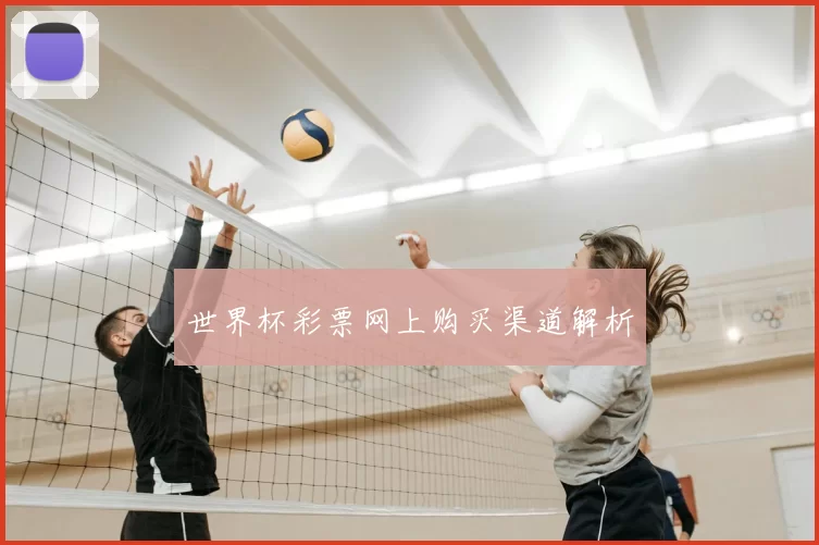世界杯彩票网上购买渠道解析