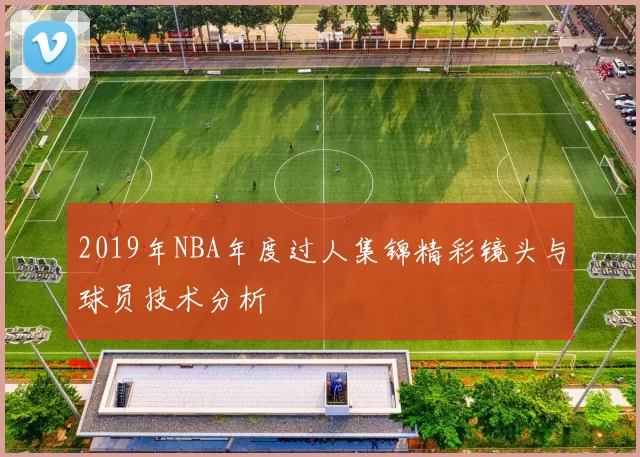 2019年NBA年度过人集锦精彩镜头与球员技术分析