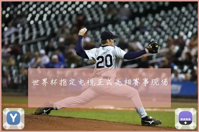 世界杯指定电视正式亮相赛事现场